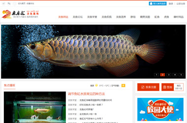 山西最大的龍魚水族中文門戶網站